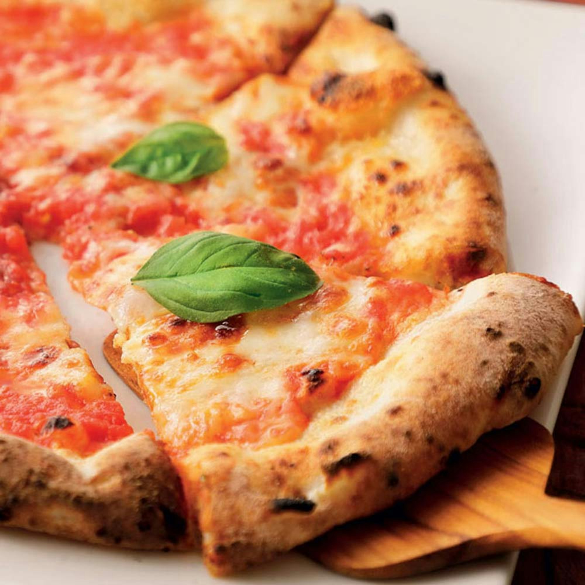 Bread Maker Margherita Pizza Dough recipe | House blog